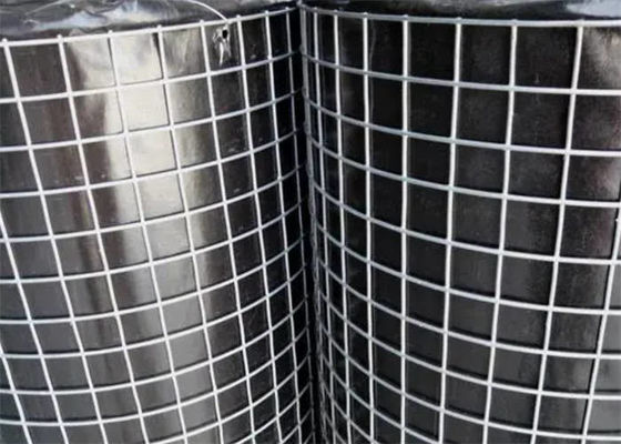 1/2" x 1/2" Inch Architektoniczne Zasowane Wire Mesh Ciężki Typ