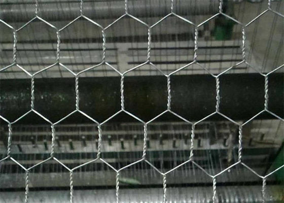 Elektrycznie galwanizowane po tkaniu sześciokątnej siatki z drutu kurczaka